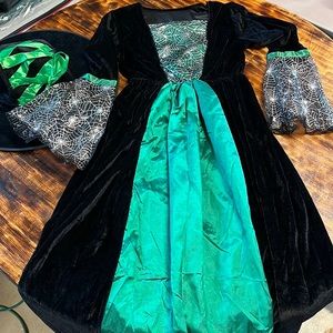 Womens Wicked Witch Costume Long Sorceress Classic Dress with Hat Women’s Small